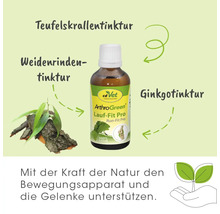 cdVet ArthroGreen Lauf-Fit Pro Tinktur zur Unterstützung des Bewegungsapparates