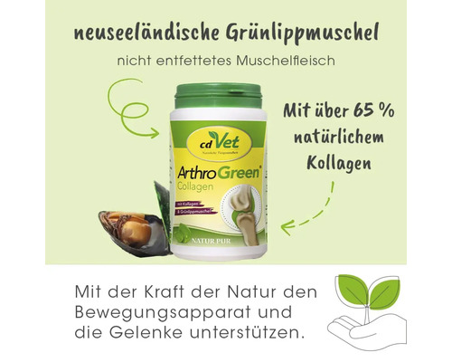 cdVet ArthroGreen Collagen für Hunde und Katzen mit Grünlippmuschel