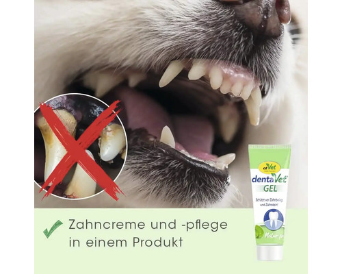 Nahaufnahme von Hundegebiss vor und nach der Zahnreinigung mit Zahngel