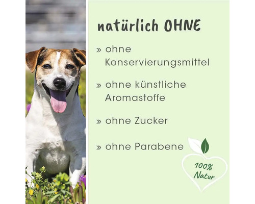 Hundeprodukt ohne Konservierungsstoffe, künstliche Aromastoffe, Zucker und Parabene