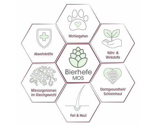 Bierhefe MOS Grafik zur Darstellung von Vorteilen wie Immunsystem, Wohlbefinden und Nährstoffen