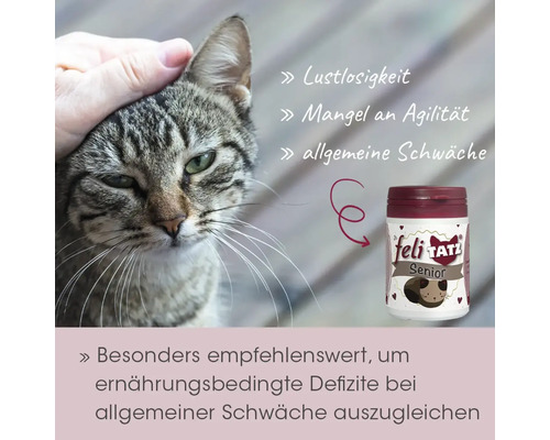 Hand streichelt Katze neben Nahrungsergänzungsmittel für Seniorenkatzen zur Unterstützung bei Antriebslosigkeit und allgemeiner Schwäche