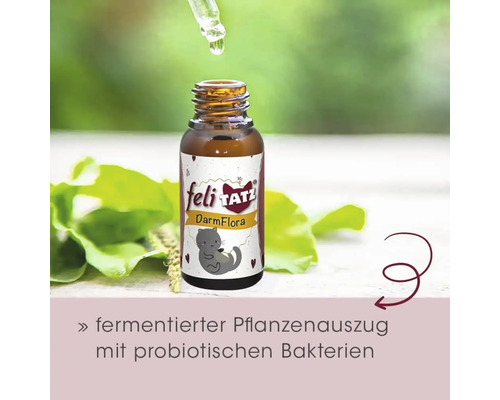 Feli Tatz Darmflora Ergänzungsfuttermittel für Katzen mit Pipette