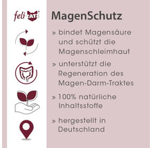 FeliTatz Magenschutz Informationen für Katzen