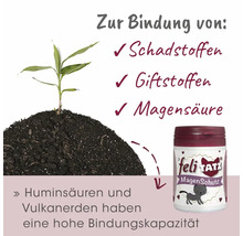 Felitatz Magen Schutz zur Bindung von Schadstoffen, Giftstoffen und Magensäure mit Huminsäuren und Vulkanerden.