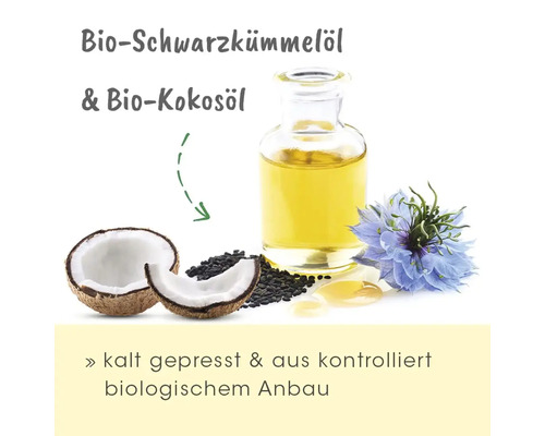 Bio Schwarzkümmelöl und Bio Kokosöl neben Kokosnuss, Schwarzkümmelsamen, Öl und Kornblume