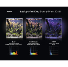 Aquael Leddy Slim Duo Sunny Plant D&N Aquarium mit Tag-, Tages- und Nachtbeleuchtung