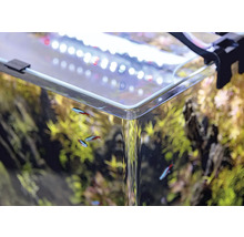 Nahaufnahme eines bepflanzten Aquariums mit Fischen und Beleuchtung