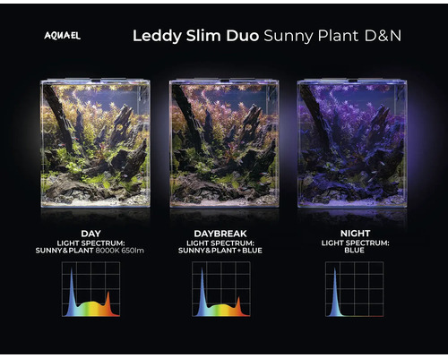 Aquael Leddy Slim Duo Sunny Plant D&N Aquarium mit Tag-, Tageslicht- und Nachtbeleuchtung