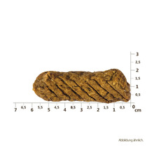 Hundesnack Carnilove Meat Jerky Chicken&Quail 100g-thumb-3 Hundesnack Carnilove Meat Jerky Chicken&Quail 100g-thumb-3