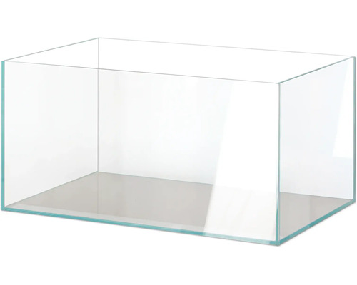 Leeres Glasaquarium für Fische und Pflanzen