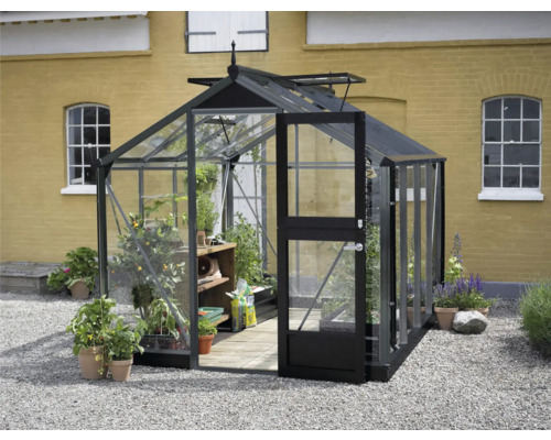 Gewächshaus Juliana Compact inkl. Sicherheitsglas 3 mm 224 x 296 cm anthrazit Gewächshaus mit geöffneter Tür im Garten