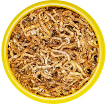 Dose mit getrockneten Mehlwürmern als Vogelfutter