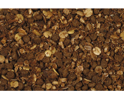 Nahaufnahme von Vogelfutter mit Samen, Körnern und Pellets.