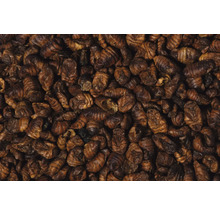 Teichfischfutter dobar Seidenraupen, 780 g-thumb-1 Teichfischfutter dobar Seidenraupen, 780 g-thumb-1