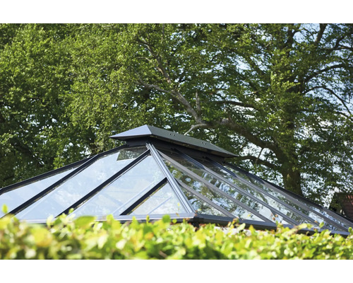 Glasdachkonstruktion vor Baumkulisse