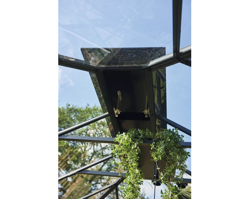 Detailansicht eines Gewächshausfensters mit Öffnungsmechanismus und hängender Pflanze.