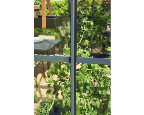 Detailansicht eines Gewächshauses mit Pflanzenhalterung und Rankhilfe