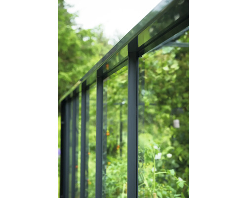 Detailaufnahme eines Gewächshauses mit Glaswänden und Rahmen