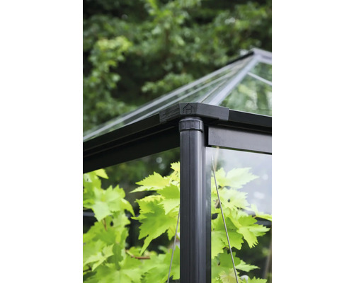 Detailansicht eines Gewächshauses mit Glas und Metallrahmen