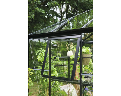 Detailaufnahme eines Gewächshauses mit offenem Fenster zur Belüftung.