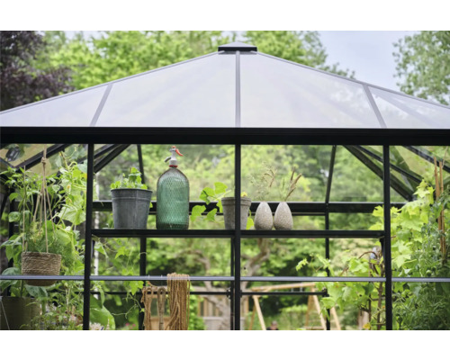 Gewächshaus mit Regalen und Pflanzen