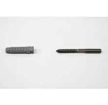 Fischer Dübel mit Schraube