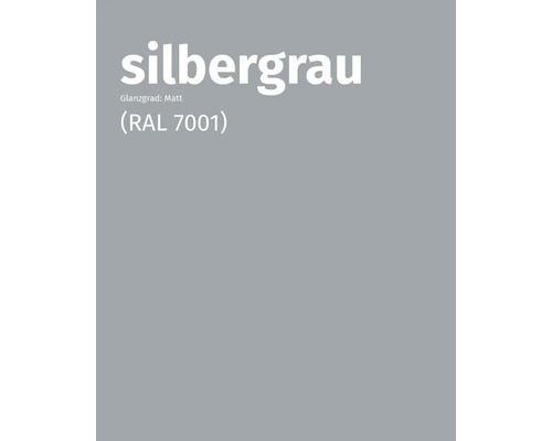 Farbmuster Silbergrau, Glanzgrad matt, RAL 7001