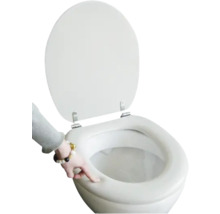 Toilettensitz mit offener Klappe und Hand
