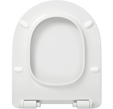 Toilettendeckel aus Kunststoff