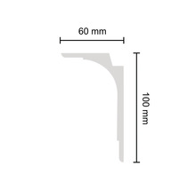 Profilleiste mit Maßangaben: 60 mm breit und 100 mm hoch