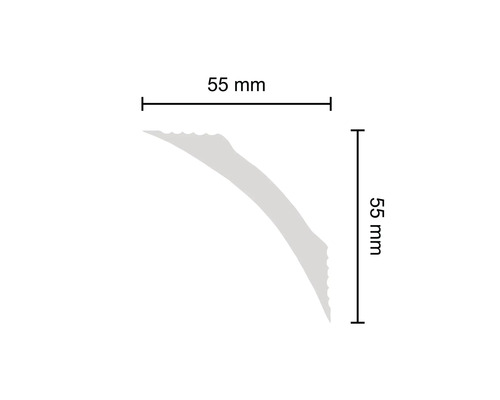 Profilleiste mit den Maßen 55 mm x 55 mm