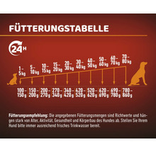 Fütterungstabelle für Hunde mit Gewichtsempfehlungen