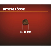 Hundekroketten Größe 16 bis 18 Millimeter