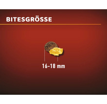 Futterstückchengröße 16 bis 18 Millimeter