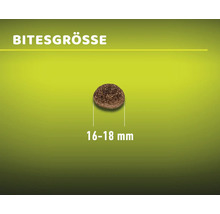 Hundefutter trocken MR.BEEF Premium Getreidefrei Rind 4 kg