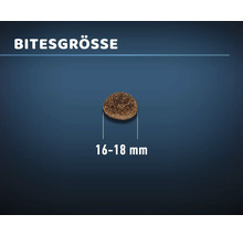 Hundefutter Stückgröße 16 bis 18 Millimeter