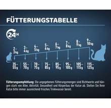 Katzenfutter trocken MR.BEEF Premium Senior Geflügel 3 kg