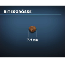 Katzenfutter trocken MR.BEEF Premium Senior Geflügel 3 kg