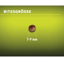 Katzenfutter trocken MR.BEEF Premium Getreidefrei Rind & Geflügel 3 kg