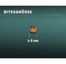 Katzenfutter trocken MR.BEEF Premium Indoor Geflügel 10 kg