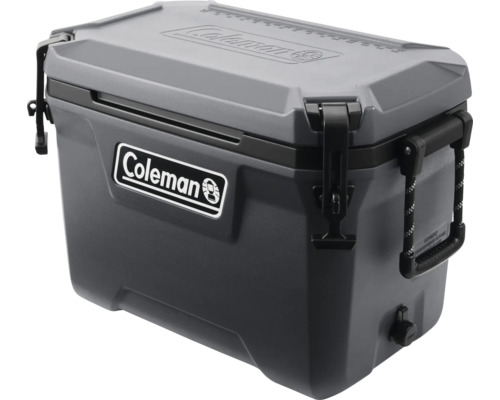 Graue Coleman Kühlbox mit Tragegriffen und Verschluss