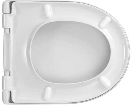 Toilettendeckel aus Kunststoff