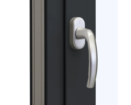 Fenster mit Fenstergriff