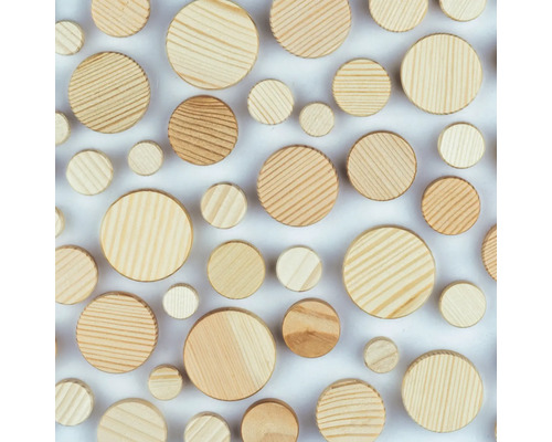 Hintergrund mit Holzzapfen in verschiedenen Größen