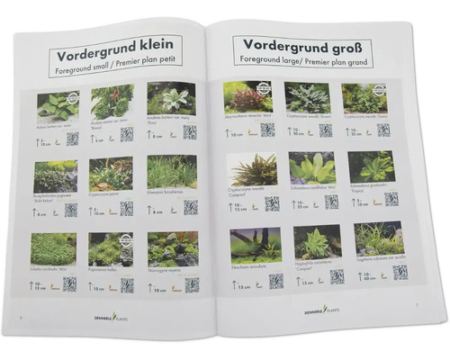 Eine geöffnete Broschüre mit Bildern von kleinen und großen Vordergrundpflanzen für Aquarien.