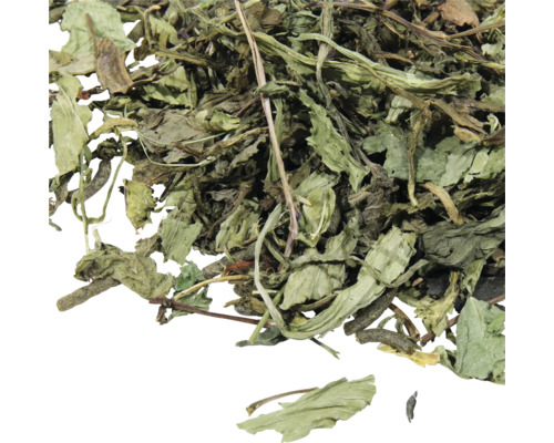 Nahaufnahme von losem Pfefferminztee