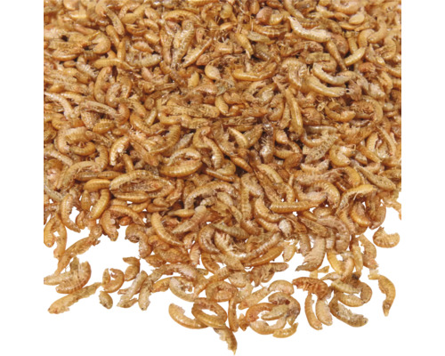 Getrocknete Bachflohkrebse für Fische