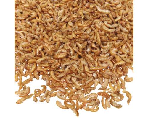 Getrocknete Bachflohkrebse für Aquarienfische