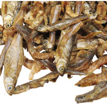 Wasserschildkröten Snack JBL PROTERRA PESCARUS Fisch-Leckerbissen für Sumpf- & Wasserschildkröten 2,5 l